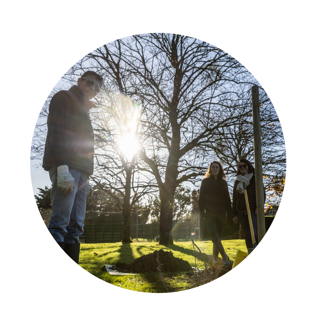 Planter des arbres pour la biodiversité