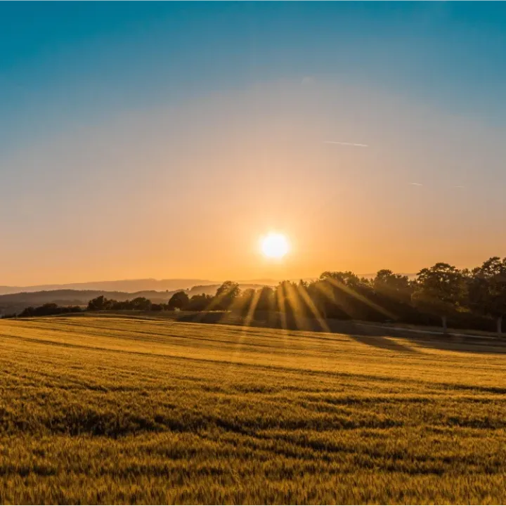 coucher de soleil sur un champ