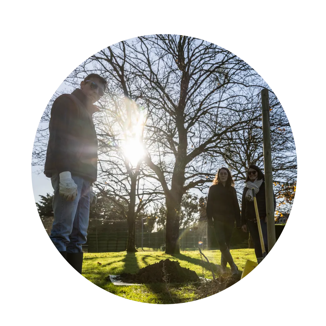 Planter des arbres pour la biodiversité