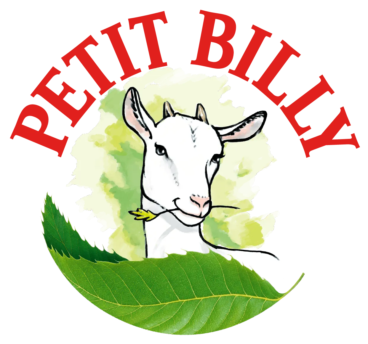 logo petit billy